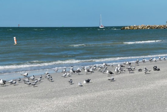 Sand Key Park Reopens in Clearwater After Hurricane Cleanup, Ready for Public Enjoyment