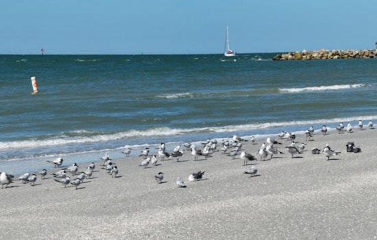 Sand Key Park Reopens in Clearwater After Hurricane Cleanup, Ready for Public Enjoyment