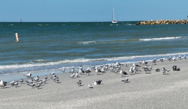 Sand Key Park Reopens in Clearwater After Hurricane Cleanup, Ready for Public Enjoyment