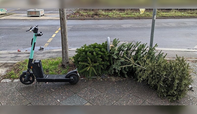 Santa Clarita Offers Convenient Christmas Tree Recycling Options Post-Holiday Season