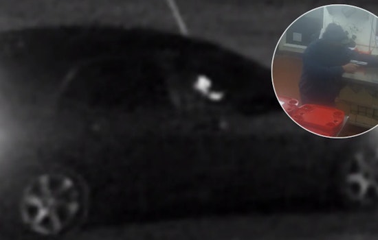 Search Underway for Suspect in Armed Robbery and Assault at Grassland Sonic in Williamson County