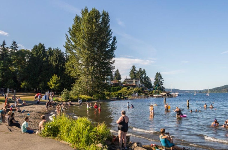 Seattle's Bracing Tradition, Polar Bear Plunge to Dive into 2025 at Matthews Beach Park