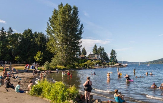 Seattle's Bracing Tradition, Polar Bear Plunge to Dive into 2025 at Matthews Beach Park