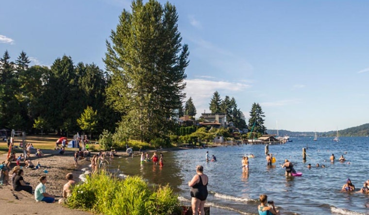 Seattle's Bracing Tradition, Polar Bear Plunge to Dive into 2025 at Matthews Beach Park