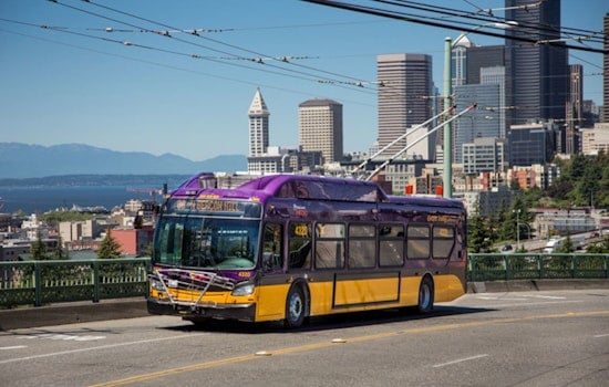 Seattle's Chinatown-International District Bus Service Halted by King County Metro Over Safety, Illegal Activity Concerns
