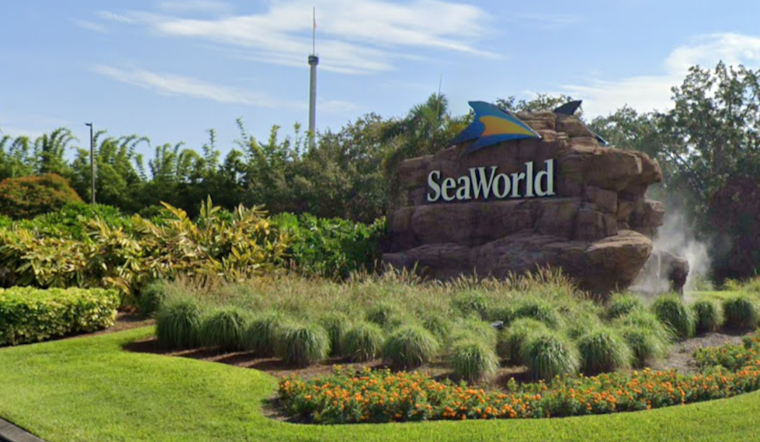 SeaWorld Orlando Joins Multi-State Rescue Effort to Rehabilitate 12 Endangered Kemp's Ridley Sea Turtles