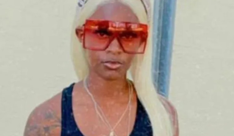 Second Suspect Charged In Connection With Mikesha Johnson's Murder in Hollywood