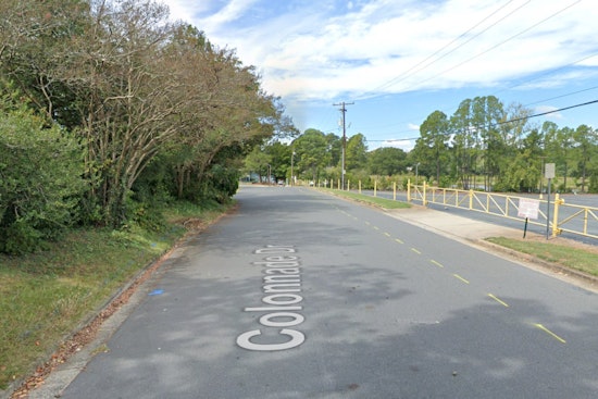 Severe Weather Toppled Tree Causes Traffic Standstill on Monroe Road in Southeast Charlotte