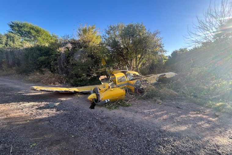 Small Plane Crash Lands in Orange Grove Near Mesa's Falcon Field, No Injuries Reported