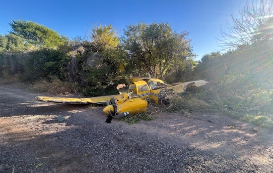 Small Plane Crash Lands in Orange Grove Near Mesa's Falcon Field, No Injuries Reported