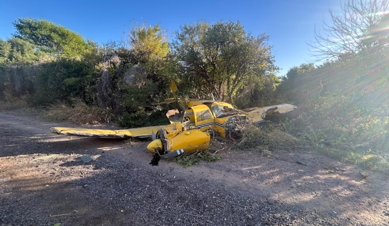 Small Plane Crash Lands in Orange Grove Near Mesa's Falcon Field, No Injuries Reported