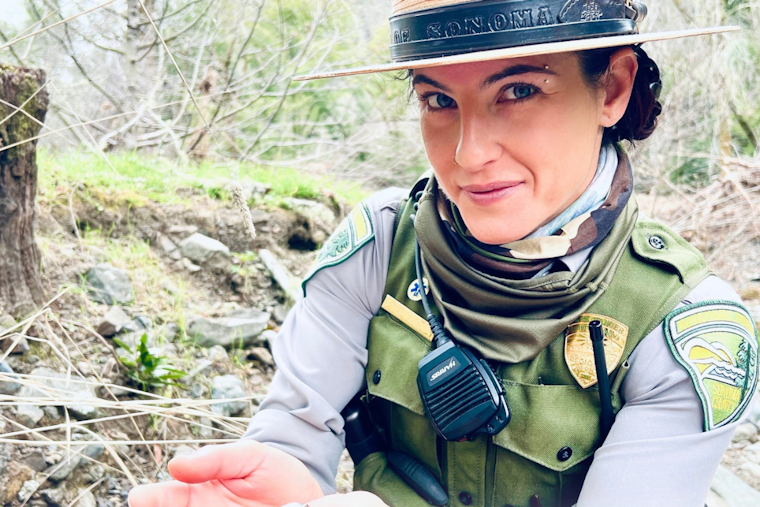 Sonoma County in Mourning: Community Remembers Ranger Kat Pringle Amid Murder-Suicide Investigation