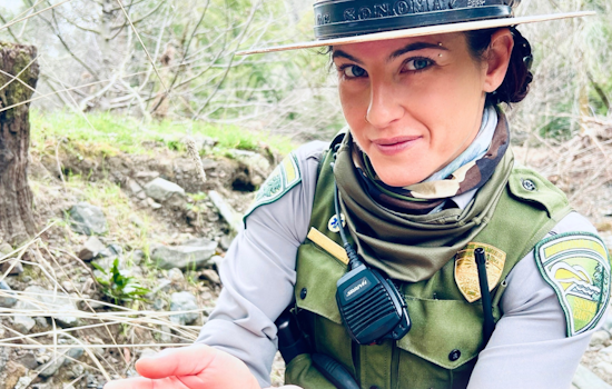 Sonoma County in Mourning: Community Remembers Ranger Kat Pringle Amid Murder-Suicide Investigation