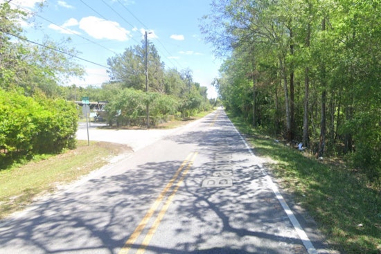 Spring Hill Man Dies After Christmas Collision with Trees in Pasco County