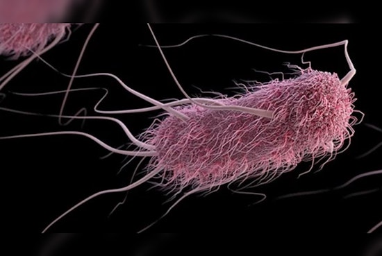 St. Louis Caterer Linked to Multistate E. coli Outbreak as Health Department Nears Investigation Completion