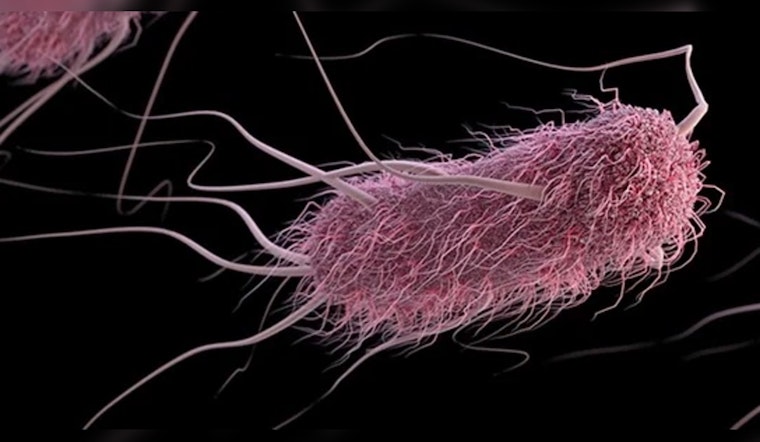 St. Louis Caterer Linked to Multistate E. coli Outbreak as Health Department Nears Investigation Completion