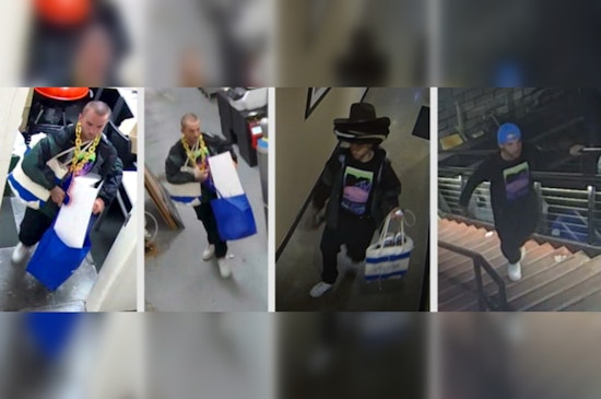 St. Louis Police Appeal for Public's Help to Identify Unique Burglary Suspect in Ballpark Village Case
