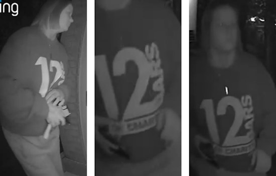 St. Louis Police Seek Public's Help to Identify Suspect in Soulard Package Theft