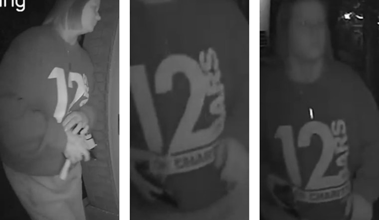 St. Louis Police Seek Public's Help to Identify Suspect in Soulard Package Theft