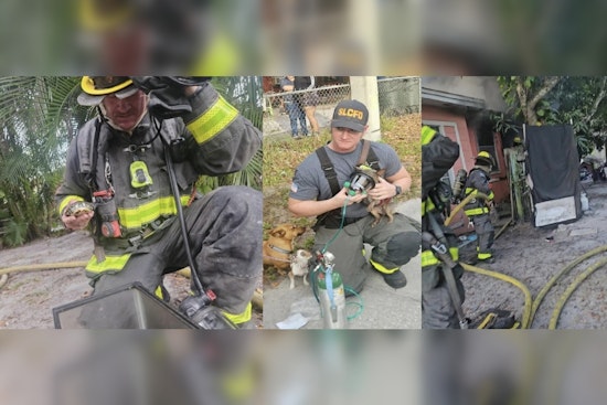 St. Lucie County Firefighters Heroically Save Pets from Christmas Day Blaze in Fort Pierce