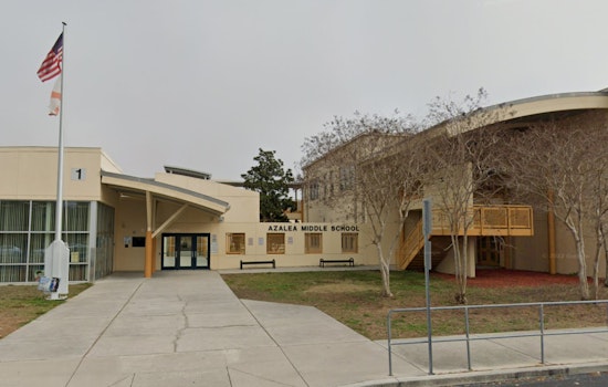 St. Petersburg Student in Custody for Carrying Gun and Knife on School Grounds