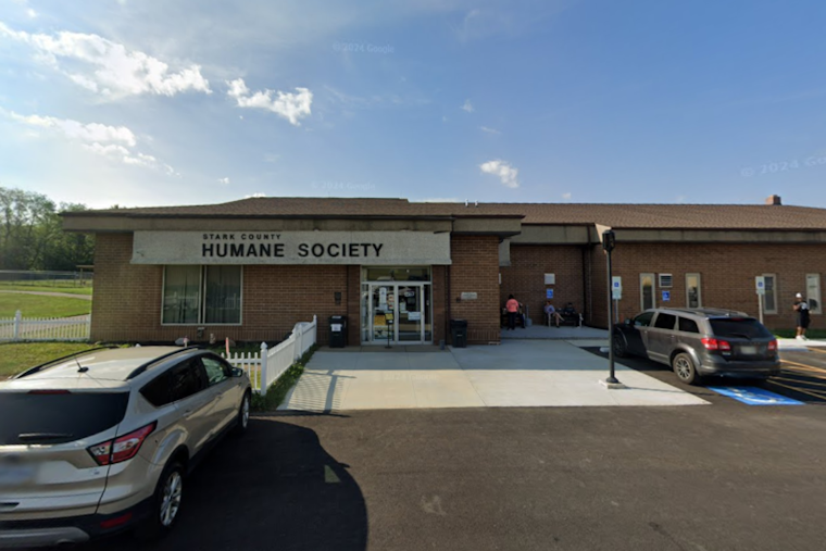 Stark County Humane Society and Police Search for Wrongfully Claimed Dog Amid Suspected Scam