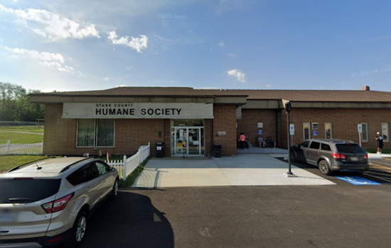 Stark County Humane Society and Police Search for Wrongfully Claimed Dog Amid Suspected Scam
