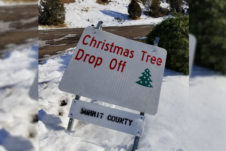 Summit County Launches Eco-Friendly Christmas Tree Disposal Program at Multiple Locations