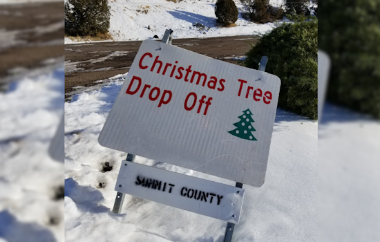 Summit County Launches Eco-Friendly Christmas Tree Disposal Program at Multiple Locations