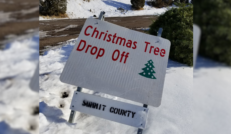 Summit County Launches Eco-Friendly Christmas Tree Disposal Program at Multiple Locations