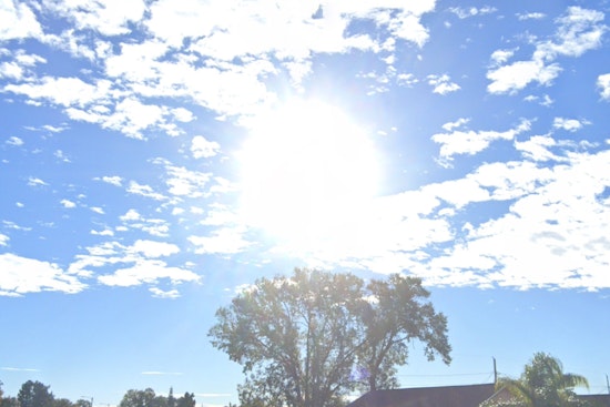 Sunny Skies and Gentle Breezes Set to Grace Tampa Bay This Week