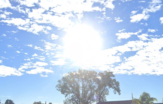 Sunny Skies and Gentle Breezes Set to Grace Tampa Bay This Week