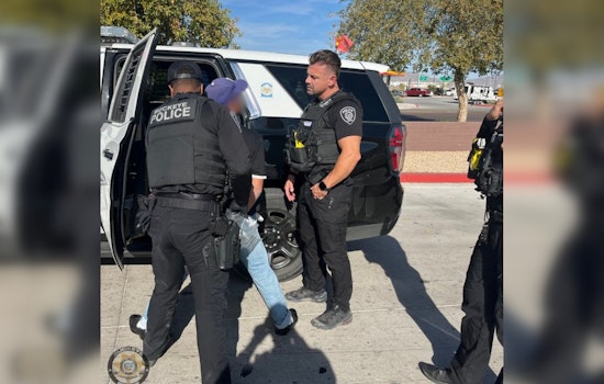 Suspected California Carjacker Apprehended in Buckeye, Arizona Following High-Tech Police Effort