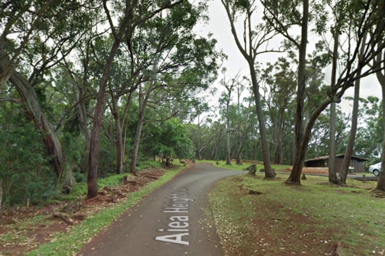 Swift Action by Honolulu Fire Department Leads to Successful Airlift of Injured Hiker on Aiea Heights Trail