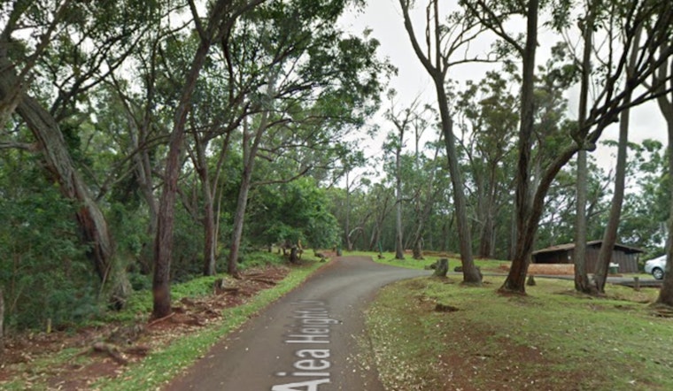 Swift Action by Honolulu Fire Department Leads to Successful Airlift of Injured Hiker on Aiea Heights Trail