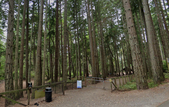Tacoma Police Conduct Manhunt for Suspect in Sexual Assault Near Point Defiance Dog Park
