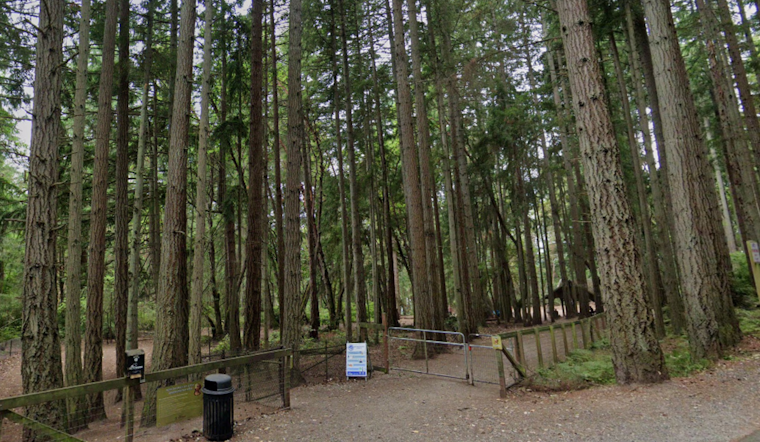 Tacoma Police Conduct Manhunt for Suspect in Sexual Assault Near Point Defiance Dog Park