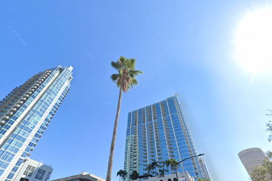 Tampa Greets New Year with Mostly Sunny Outlook and Mild Winter Weather