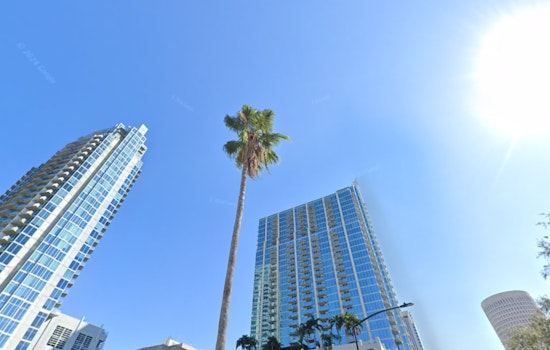 Tampa Greets New Year with Mostly Sunny Outlook and Mild Winter Weather