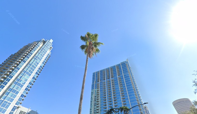 Tampa Greets New Year with Mostly Sunny Outlook and Mild Winter Weather