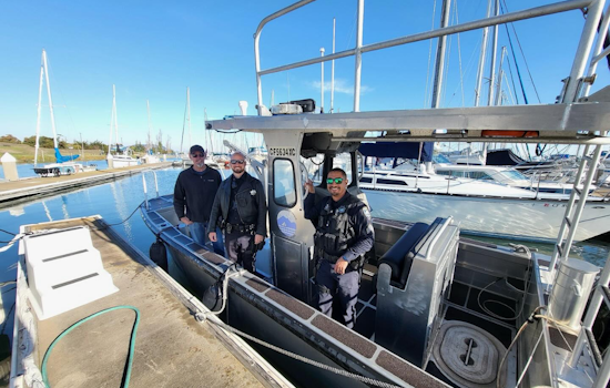 Team Rescued After Sailboat Capsizes in San Francisco Bay, No Injuries Reported