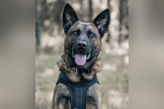 Terrell Community and Police Mourn the Loss of K-9 Max and Officer Candanoza