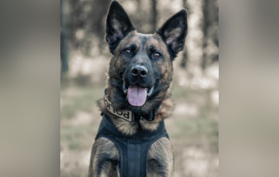 Terrell Community and Police Mourn the Loss of K-9 Max and Officer Candanoza
