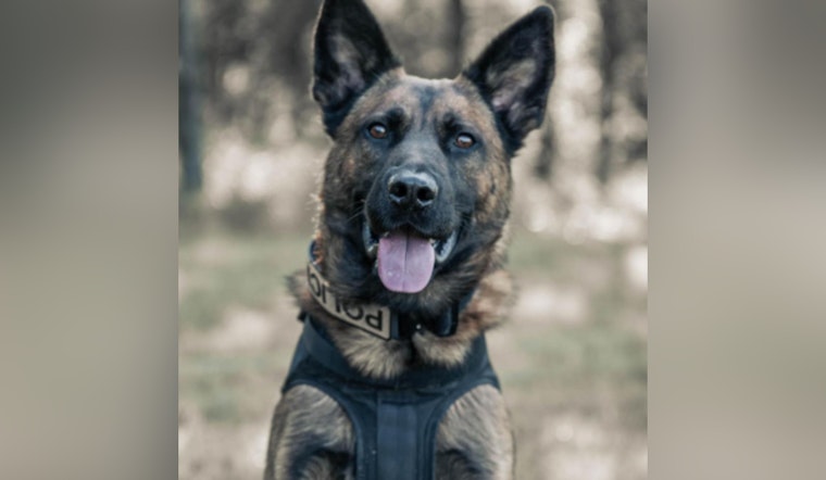Terrell Community and Police Mourn the Loss of K-9 Max and Officer Candanoza