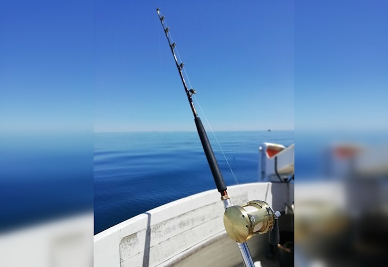 TFWC Announces Overhaul of Tennessee Hunting, Fishing, and Boating License Fees for 2025