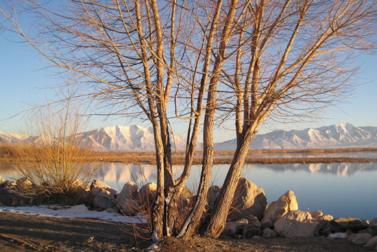 "The Great Carp Hunt" in Utah Lake to Award Anglers with $1,000 Prizes for Curbing Invasive Species