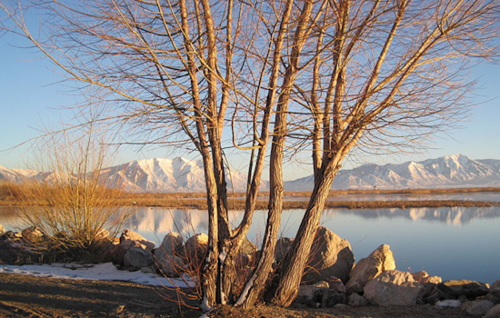 "The Great Carp Hunt" in Utah Lake to Award Anglers with $1,000 Prizes for Curbing Invasive Species