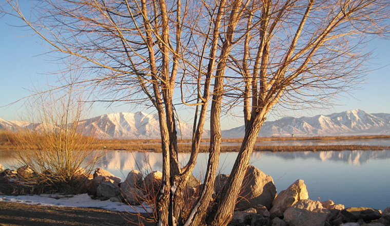 "The Great Carp Hunt" in Utah Lake to Award Anglers with $1,000 Prizes for Curbing Invasive Species