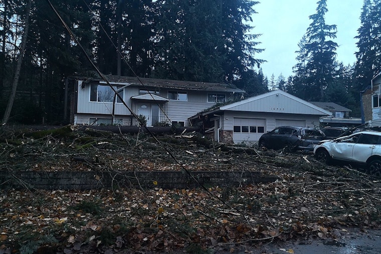 Thousands Without Power in Pacific Northwest Following Destructive Winds