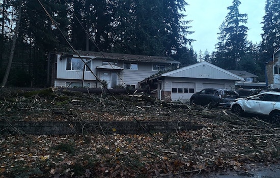 Thousands Without Power in Pacific Northwest Following Destructive Winds